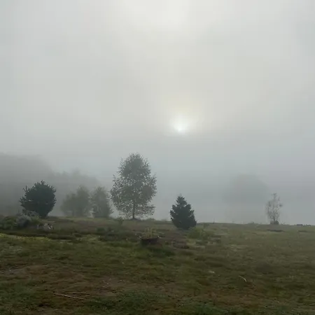 Domaine Des Planesses