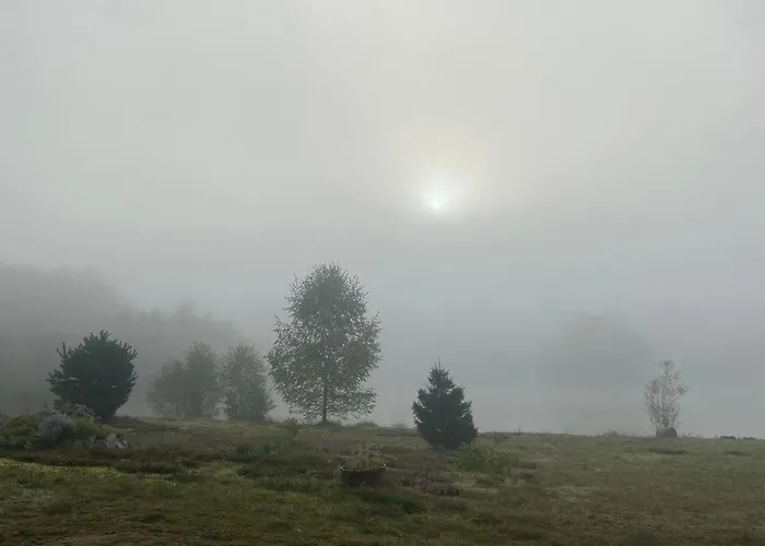 Domaine Des Planesses